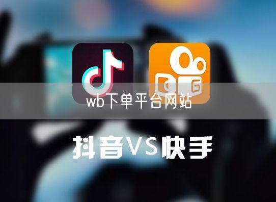 wb下单平台网站