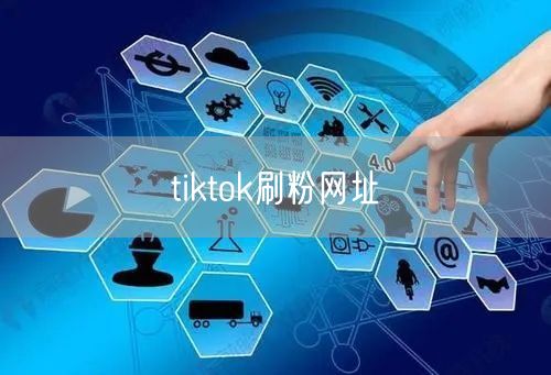 tiktok刷粉网址